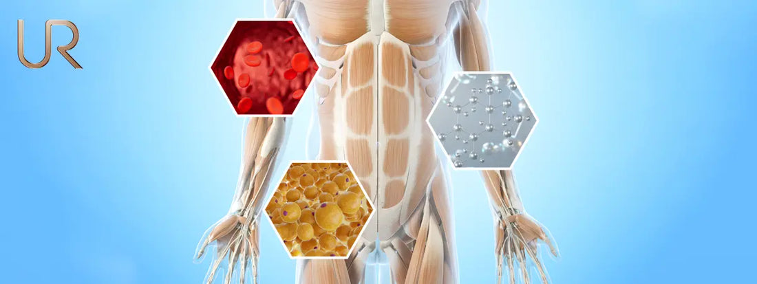The Science of Stubborn Fat: Why Some Areas Won’t Shift