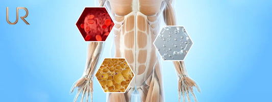 The Science of Stubborn Fat: Why Some Areas Won’t Shift