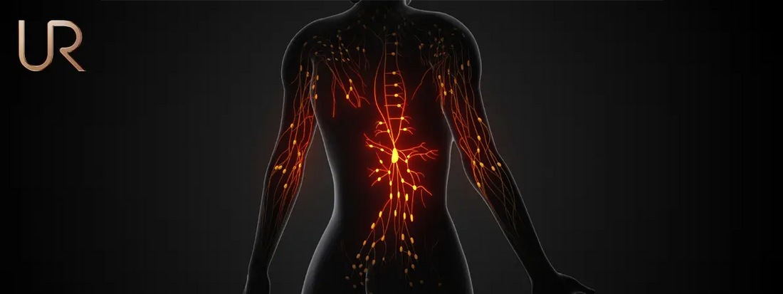 How Does Cortisol Affect the Body?