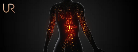 How Does Cortisol Affect the Body?