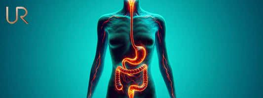 Illustration of human digestive system against a blue background.