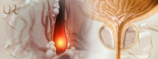 DHT also influences prostate tissue