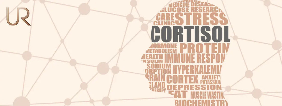 Silhouette of a head filled with words related to cortisol and stress.