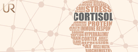 Abstract illustration of cortisol stress signalling pathways influencing metabolic regulation and energy balance.