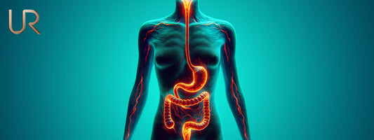 What happens inside the body after a cheat meal