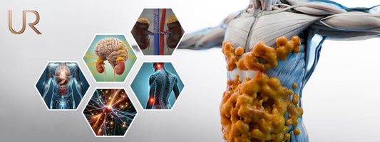 Metabolic Interconnectivity