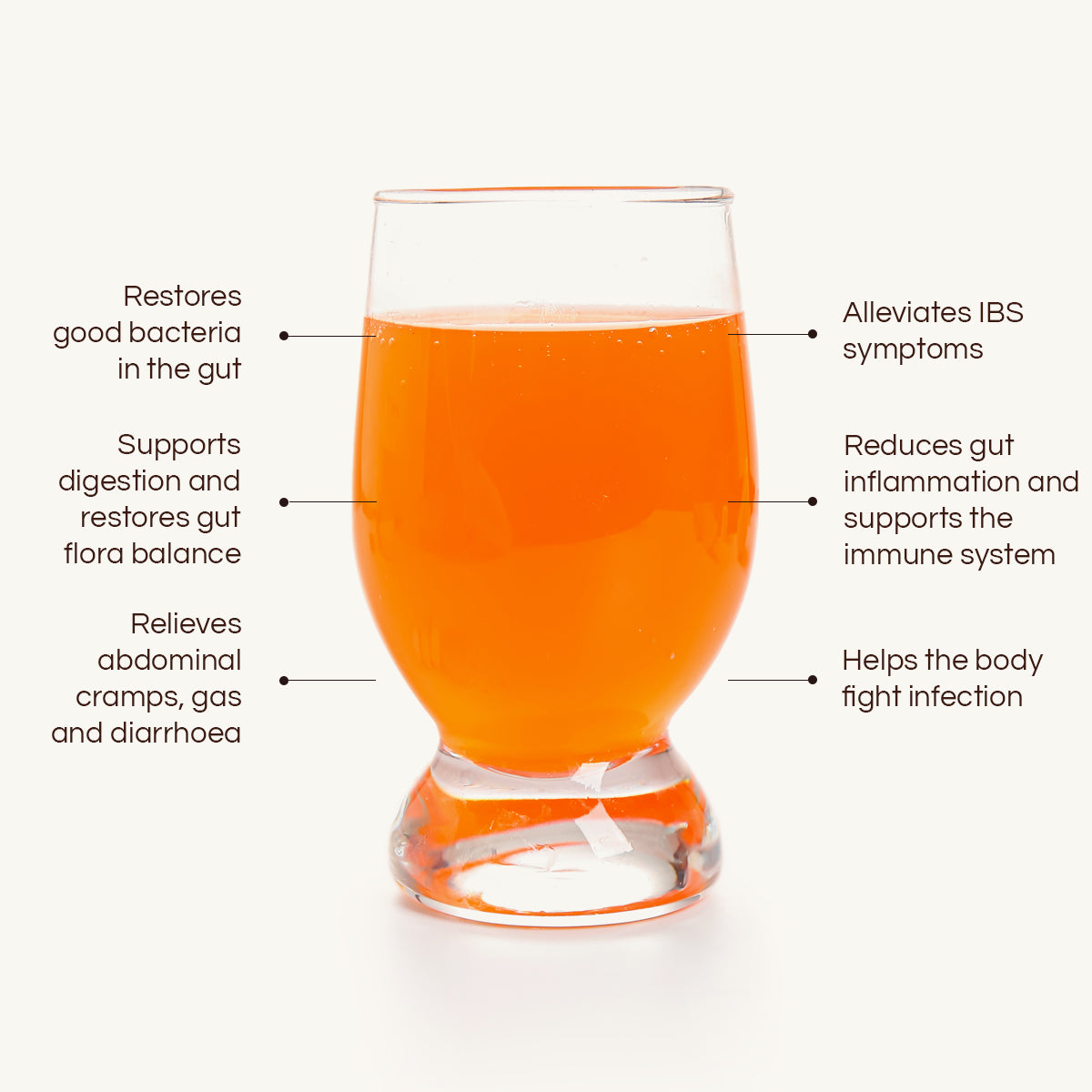 UR Daily Tummy Tonic – URBAN RETREAT