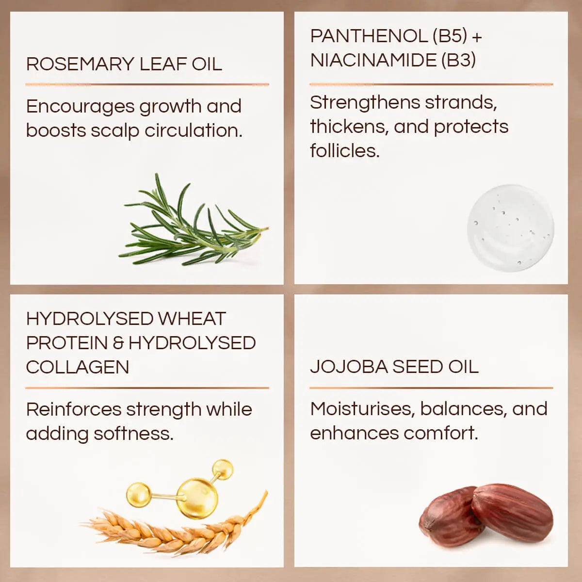 BOOST Conditioner key ingredients and their benefits on a beige background