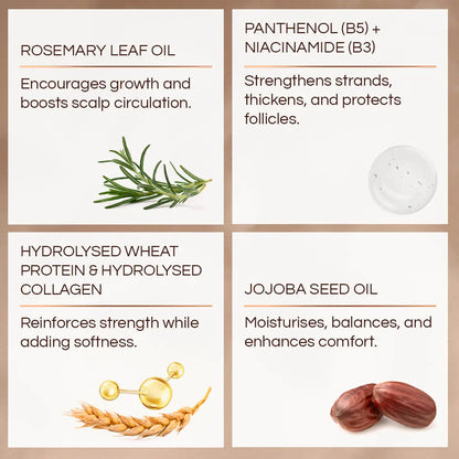 BOOST Conditioner key ingredients and their benefits on a beige background