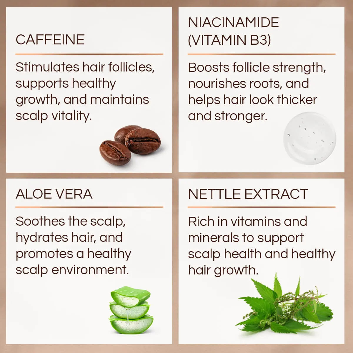 BOOST-Shampoo-Key-Ingredients