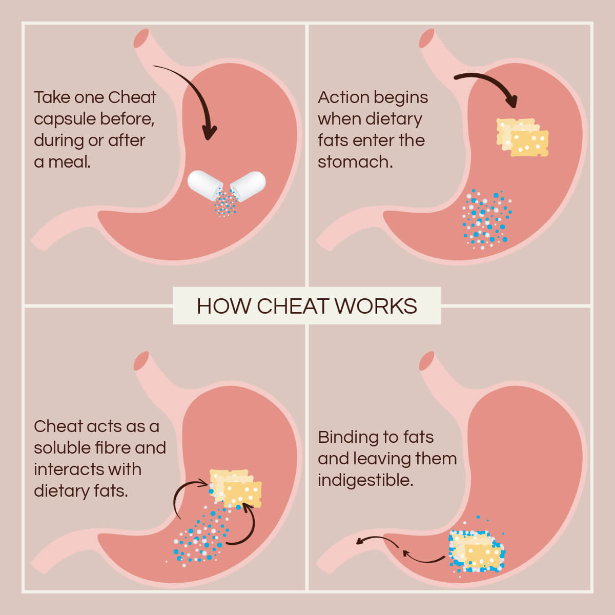 Diagram explaining how Cheat capsules work in the digestive system