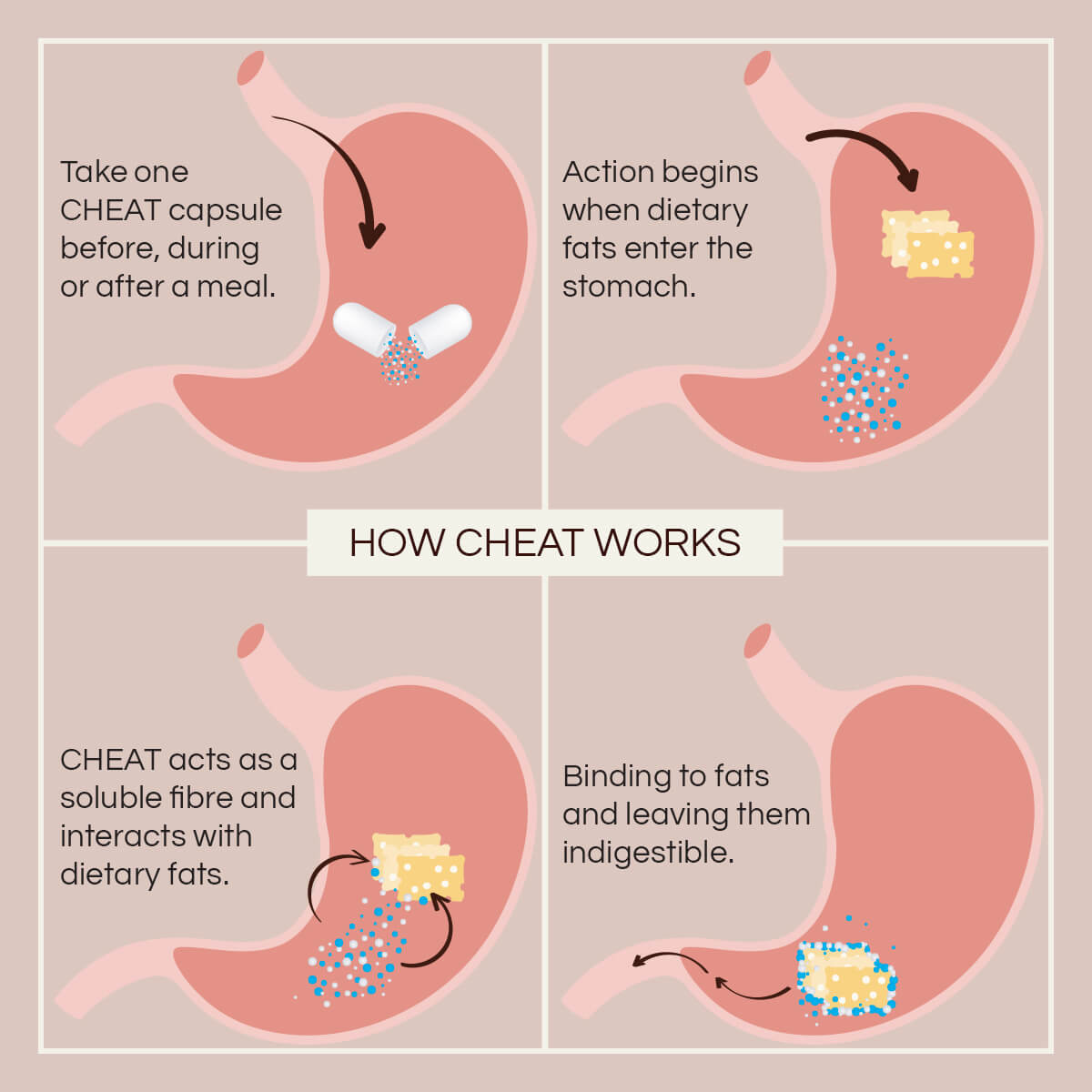 Diagram explaining how Cheat capsules work in the digestive system