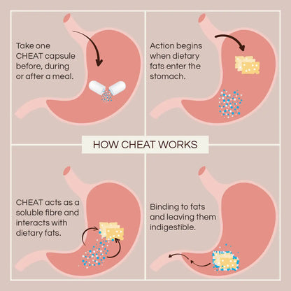 A four-panel infographic explaining how a CHEAT capsule works, showing a stomach illustration with text about taking one capsule before or after a meal, action beginning when dietary fats enter the stomach, CHEAT acting as a soluble fibre, and binding to fats leaving them indigestible.