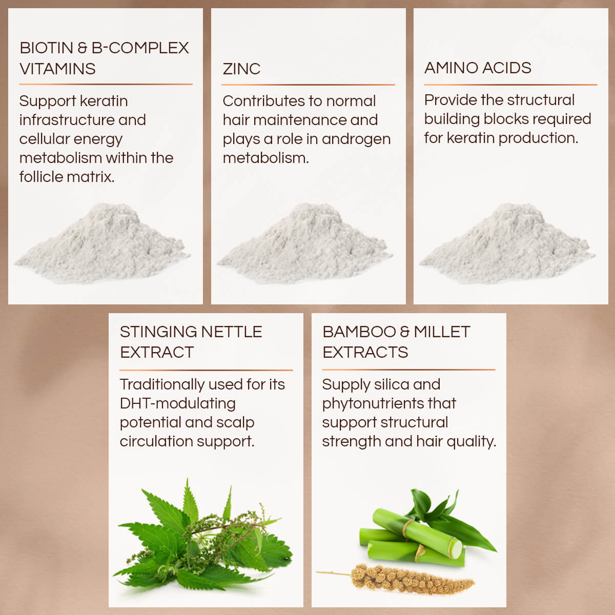 Illustration of FOOLICLE FOOD key ingredients with text descriptions on a beige background