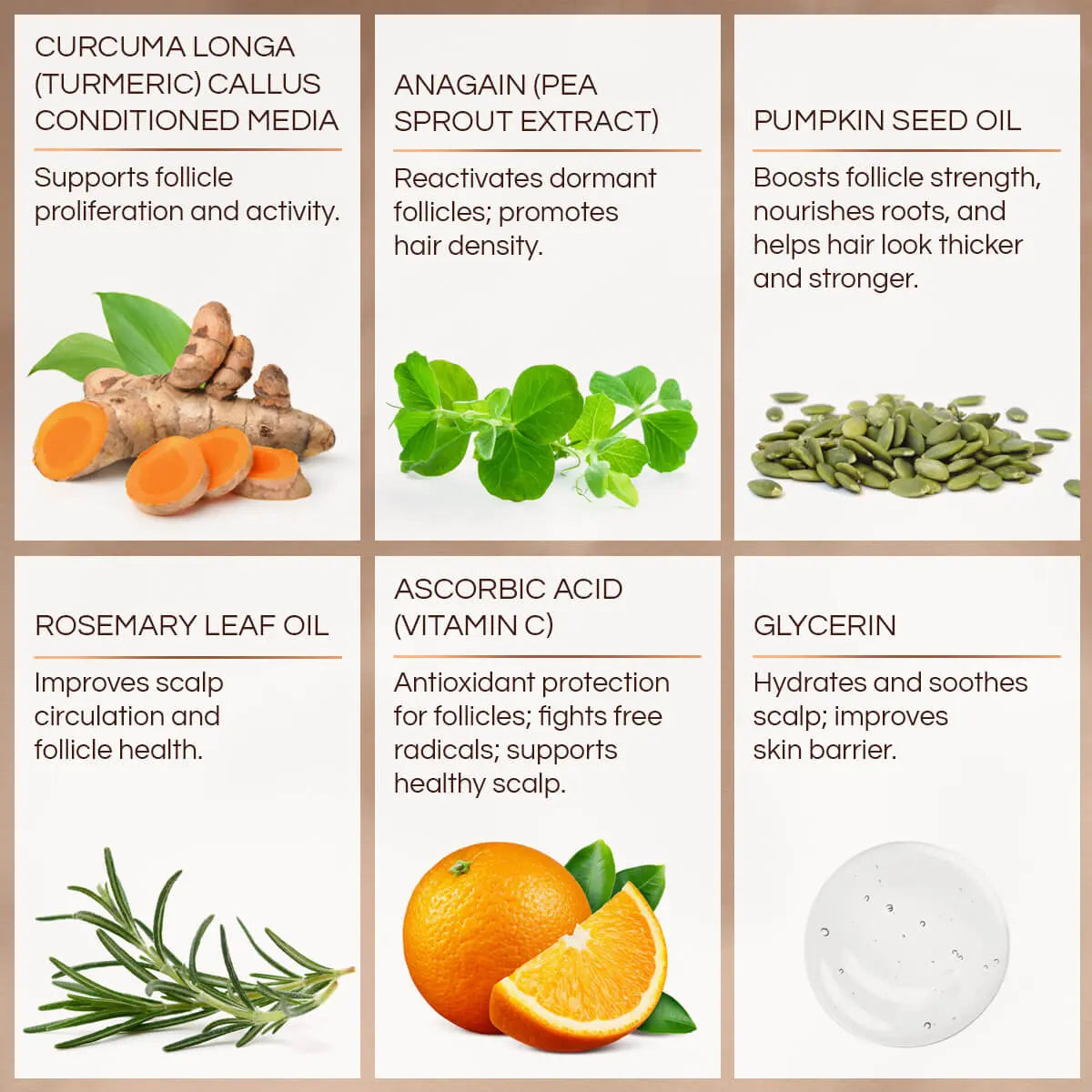 A six-panel ingredient infographic for a hair care product, featuring Curcuma Longa, Anagain (Pea Sprout Extract), Pumpkin Seed Oil, Rosemary Leaf Oil, Ascorbic Acid (Vitamin C), and Glycerin, each with a photo of the ingredient and descriptive text on a white background with tan borders.