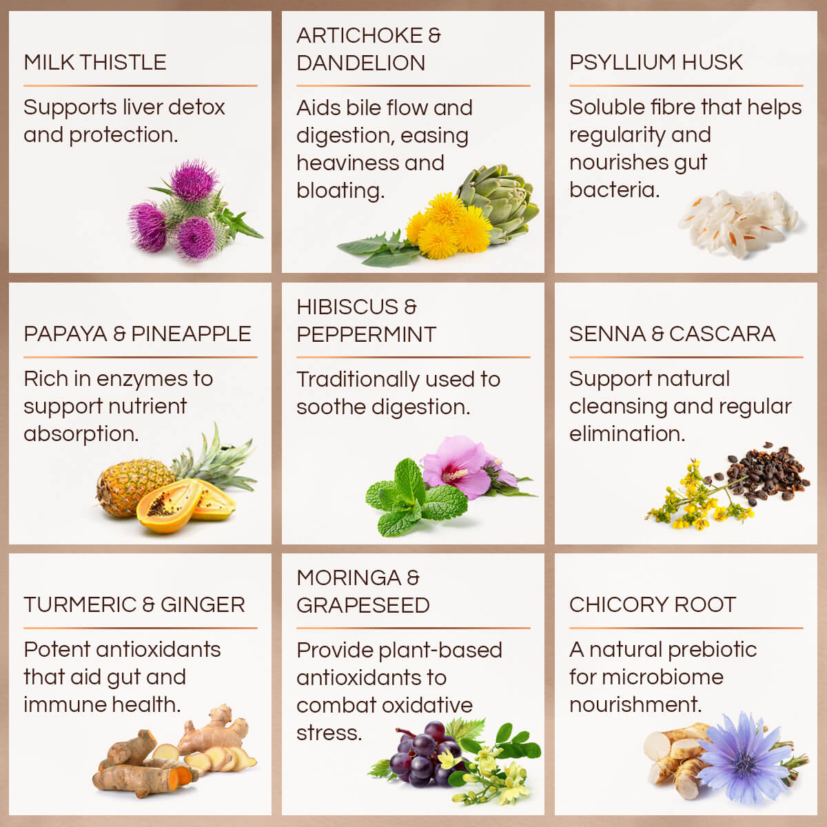 RE-SET - Key Ingredients