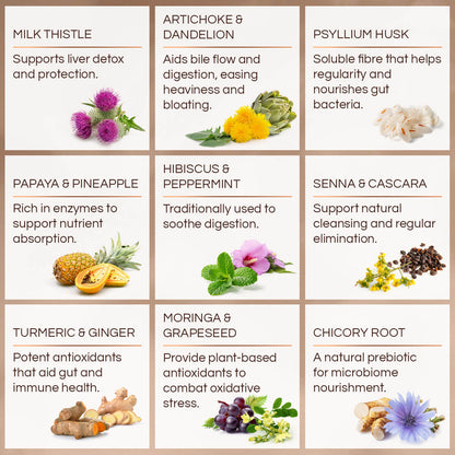 RE-SET - Key Ingredients