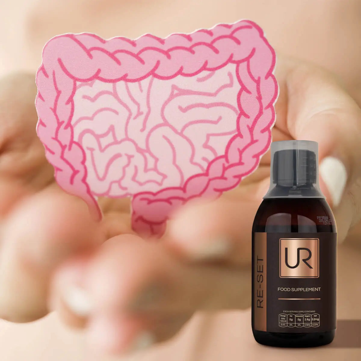 A bottle of UR Re-Set food supplement stands next to a pink anatomical illustration of the digestive tract, held by blurred hands against a warm beige background.