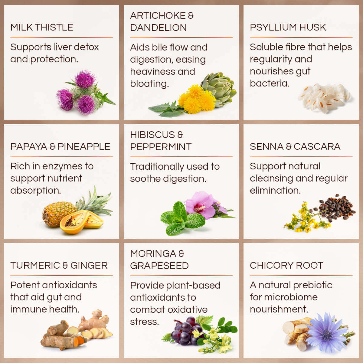 RE-SET - Key Ingredients