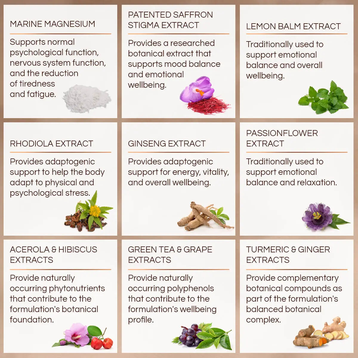 An informational product graphic showing nine SOUL botanical supplement panels arranged in a 3x3 grid on a beige background. Each panel contains a title such as Marine Magnesium, Patented Saffron Stigma Extract, Lemon Balm Extract, Rhodiola Extract, Ginseng Extract, Passionflower Extract, Acerola & Hibiscus Extracts, Green Tea & Grape Extracts, and Turmeric & Ginger Extracts, with small photos of the ingredients and brief benefit text.